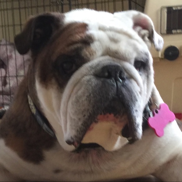 Meet your Posher, Theresa - Picture 2 of 2